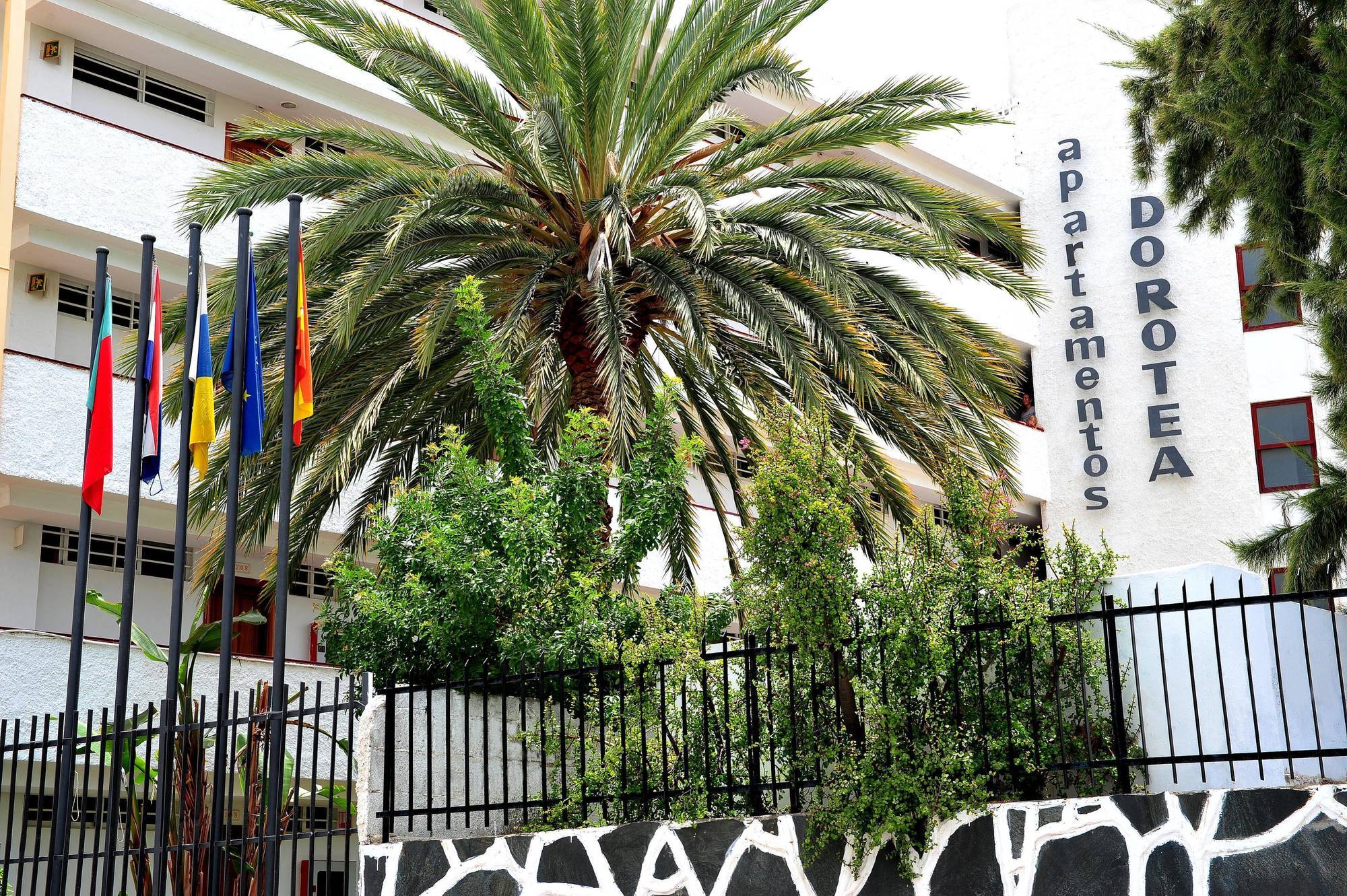 Tc Dorotea * Playa del Inglés